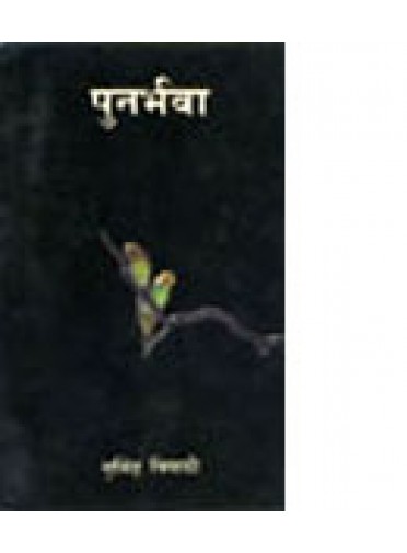 Punarbhava by Nrusingh Tripathy