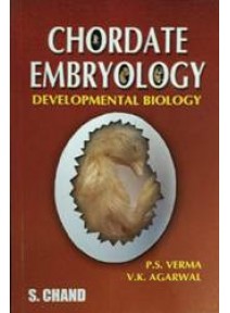 Chordate Embryology Developmental Biology