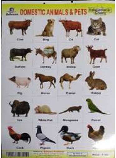Domestic Animals & Pets Educational Chart