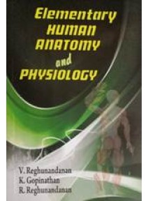 Elementary Human Anatomy and Physiology