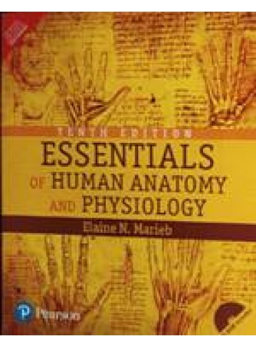 Essentials Of Human Anatomy And Physiology 10ed