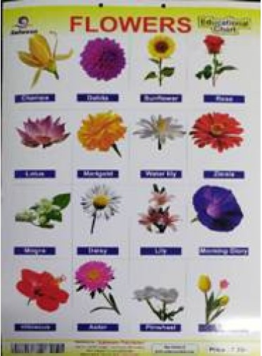 Flowers Educational Chart